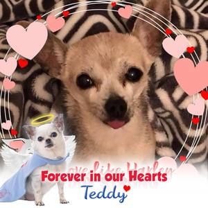 Meet your Posher, Carlee